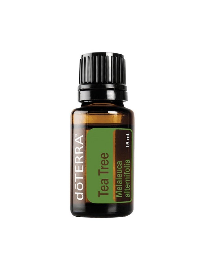 Melaleuca (Tea Tree) Essential Oil - 15 Ml