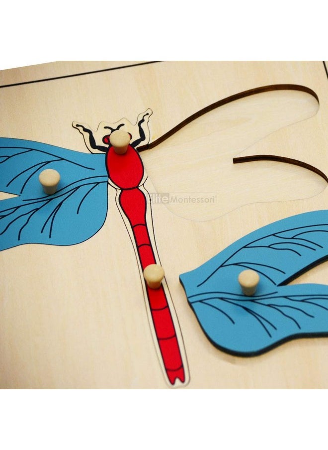 Dragonfly Puzzle