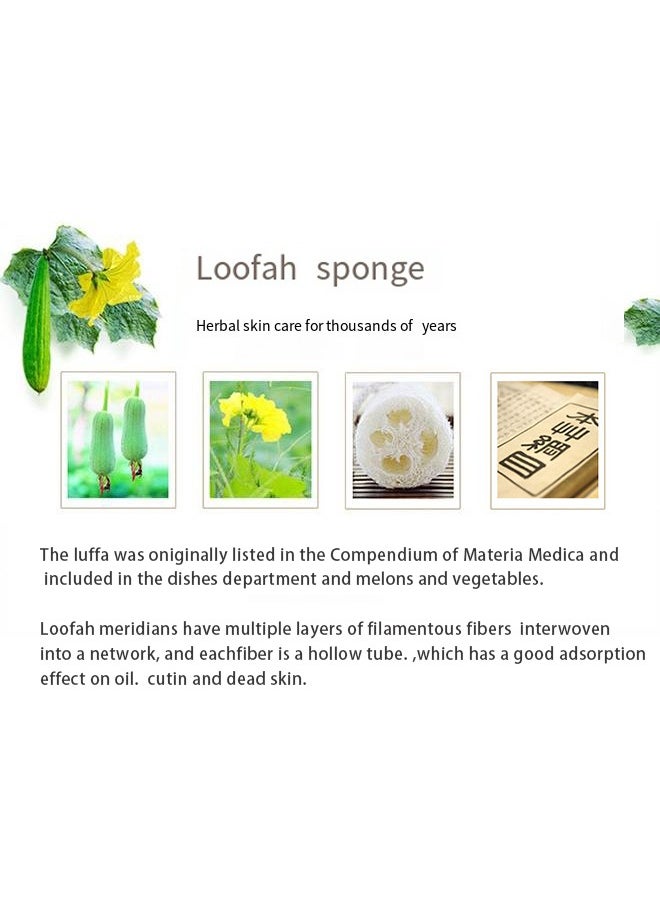 Natural Egyptian Loofah Palm Size Oval