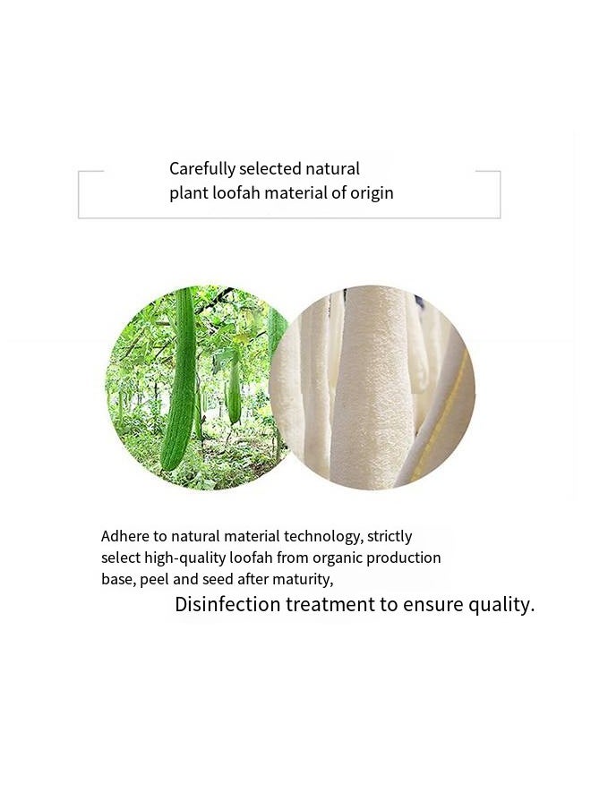Natural Egyptian Loofah Palm Size Oval