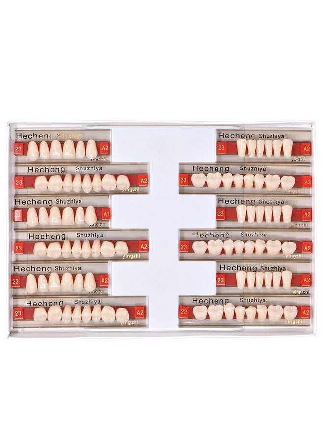 84 Pcs Dental Complete Acrylic Resin Denture False Teeth 3 Sets Synthetic Polymer Resin Denture Teeth 23 Shade A2 Upper + Lower Dental Materials