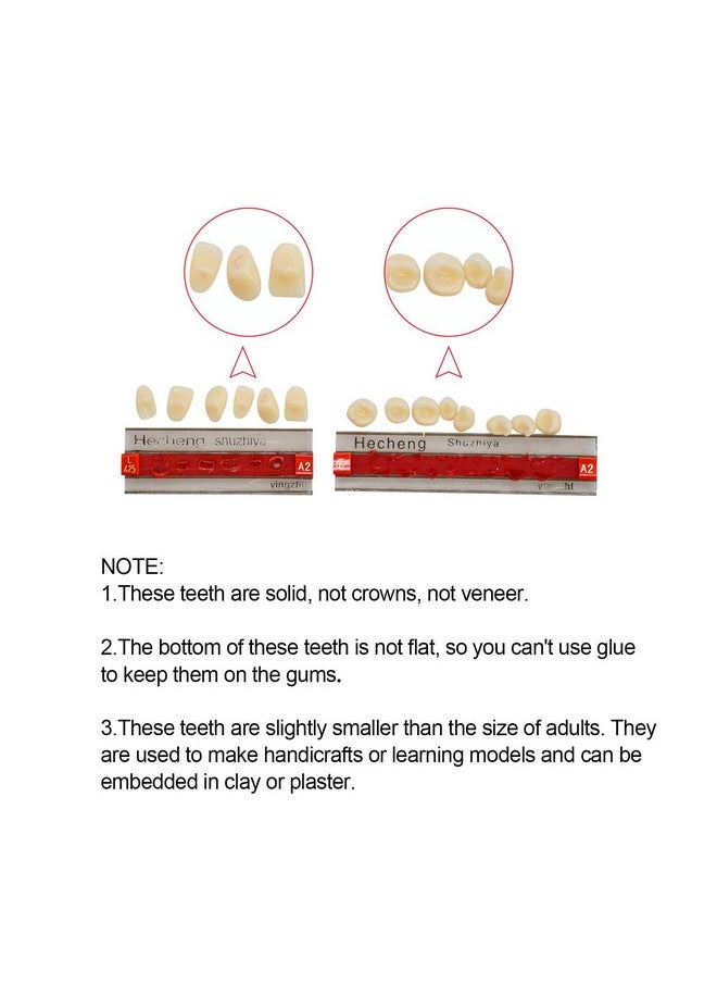 84 Pcs Dental Complete Acrylic Resin Denture False Teeth 3 Sets Synthetic Polymer Resin Denture Teeth 23 Shade A2 Upper + Lower Dental Materials