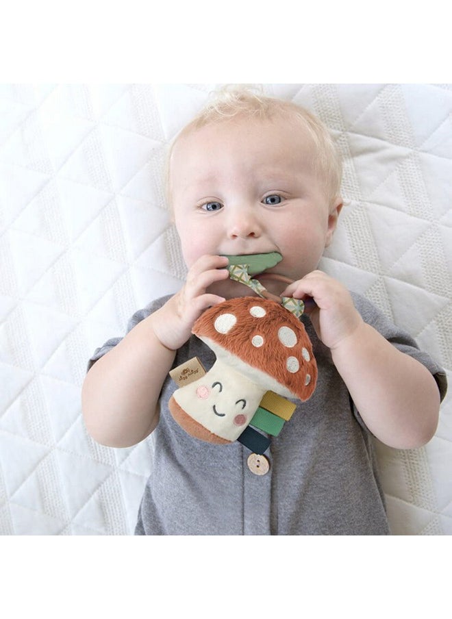 Infant Toy & Teether - Itzy Pal Baby Teething Toy Includes Lovey, Crinkle Sound, Textured Ribbons & Silicone Teether Toy For Newborn (Mushroom)