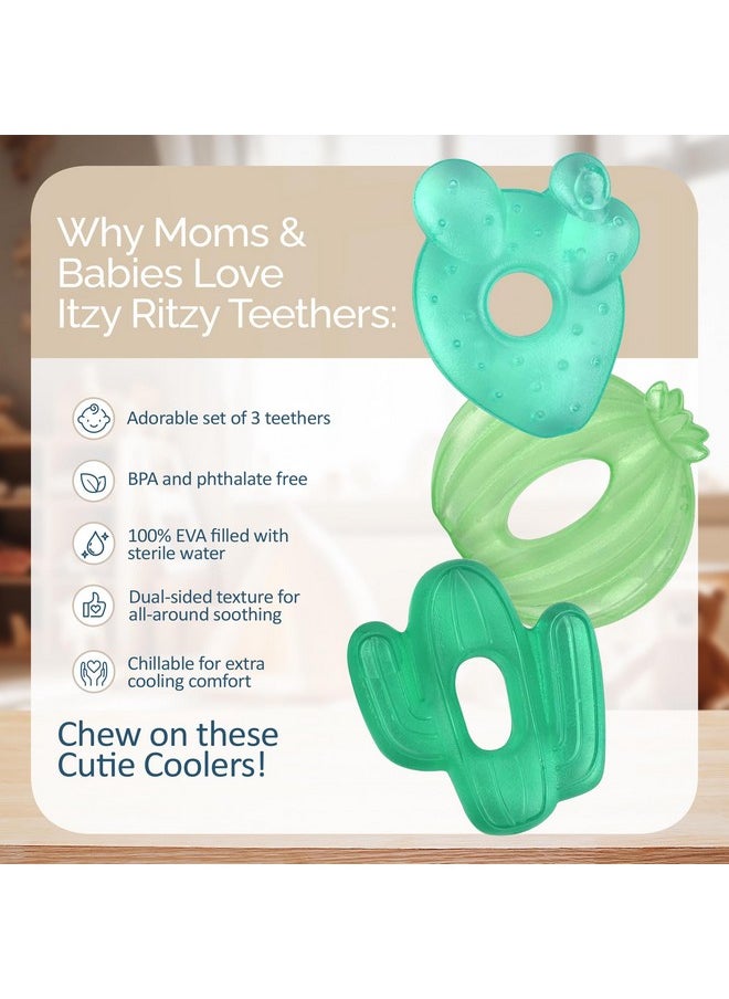 Water-Filled Teethers - Cold Cutie Coolers Textured On Both Sides To Massage Sore Gums & Emerging Teeth - Can Be Chilled In Refrigerator, Set Of 3 Green Cactus Water Teethers