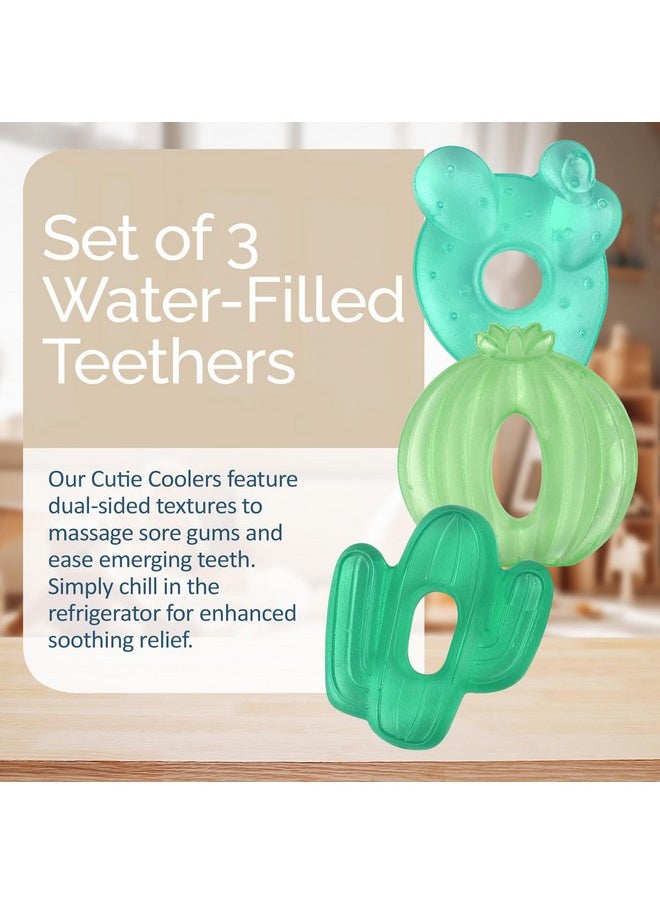 Water-Filled Teethers - Cold Cutie Coolers Textured On Both Sides To Massage Sore Gums & Emerging Teeth - Can Be Chilled In Refrigerator, Set Of 3 Green Cactus Water Teethers