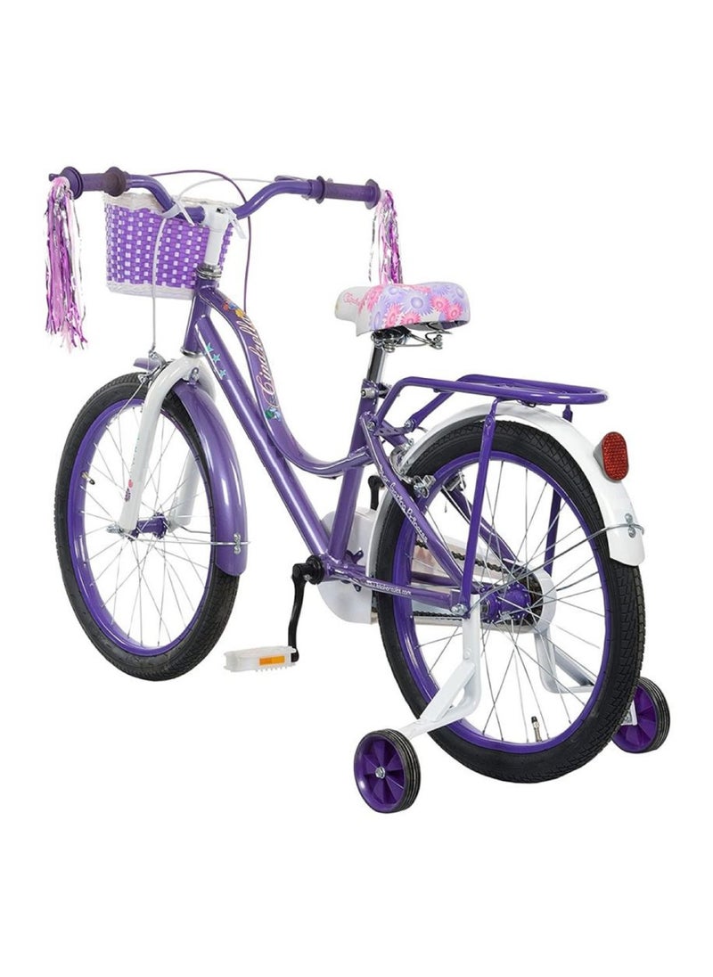 TI Bicycle Riders Flora 20-Inch Purple.