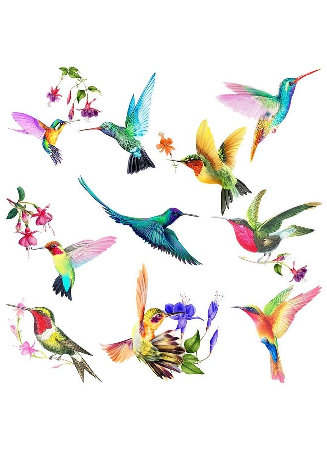 20 Pieces Large Size Hummingbird Window Hummingbird Decals For Window Anti-Collision Window Clings Decals To Prevent Bird Strikes On Window Glass Non Adhesive Vinyl Cling Hummingbird Stickers