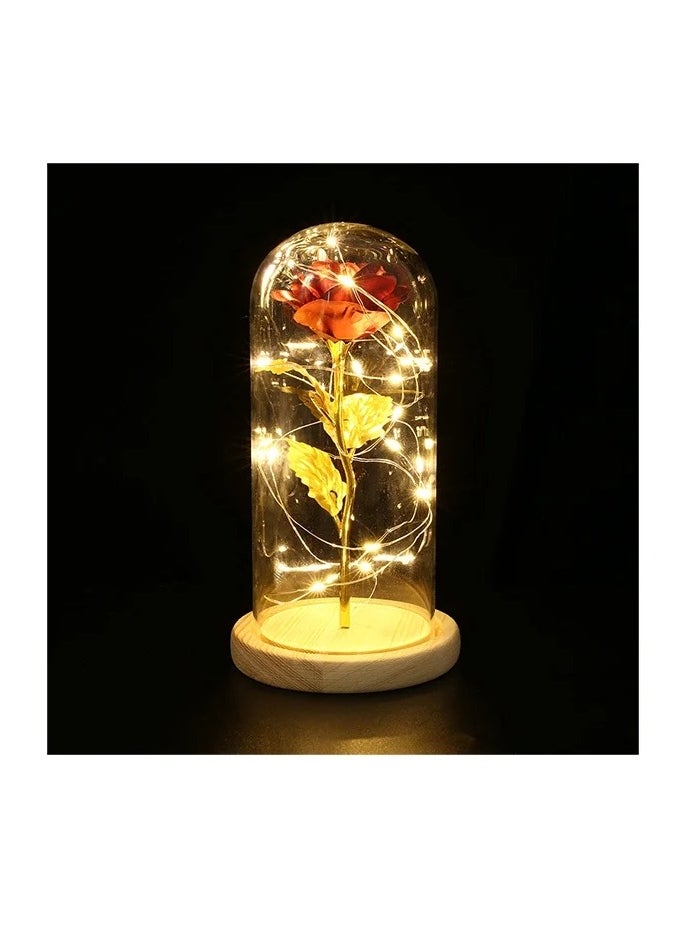 Rose Flowers LED Light Red 26.5 x 13.5 x 13.5cm