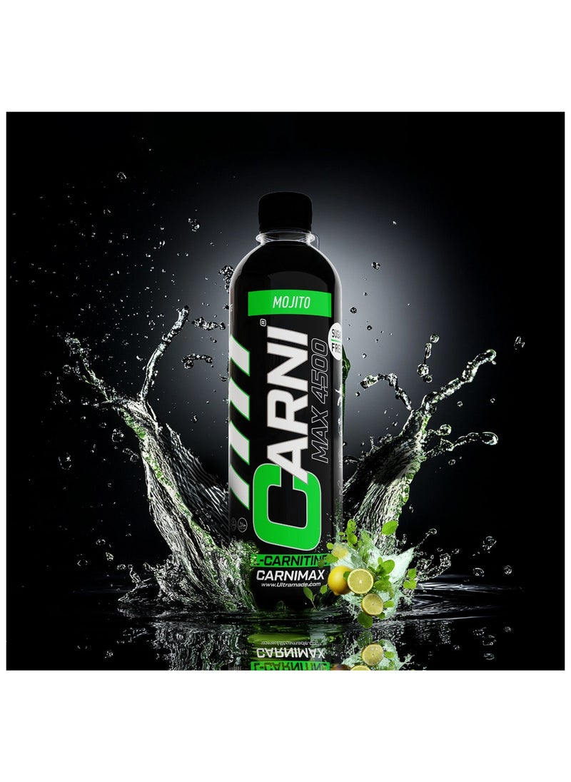 C5 CARNIMAX Mojito - L-CARNITINE Maximum Fat Burn L-Carnitine with Electrolytes, CLA, Chromium, B Complex Vitamins & Alpha GPC - Zero Sugar, 500ml Pack of 12