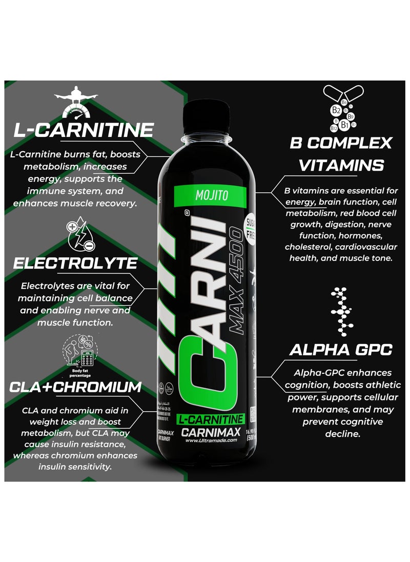 C5 CARNIMAX Mojito - L-CARNITINE Maximum Fat Burn L-Carnitine with Electrolytes, CLA, Chromium, B Complex Vitamins & Alpha GPC - Zero Sugar, 500ml Pack of 12