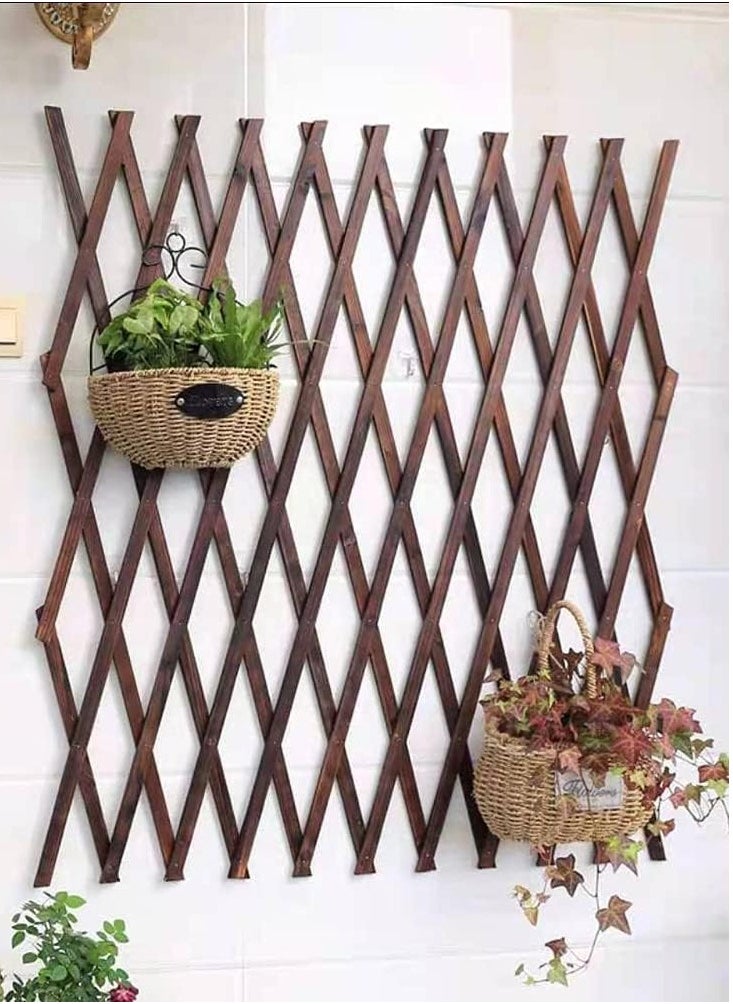 Wooden Lattice Wall Fence Expandable Plant Climb Hanging Frame Trellis Plant Support Fence for Indoor Outdoor Patio Plants Vine 75 Cm