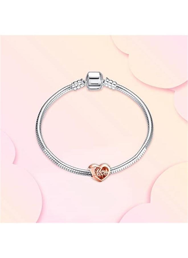 Jewelry Family Charms for Woman-925 Sterling Silver Dangle Pendant Bead with Cubic Zirconia,Jewelry Beads DIY Gifts for Women Bracelet & Necklace