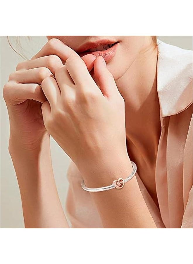 Jewelry Family Charms for Woman-925 Sterling Silver Dangle Pendant Bead with Cubic Zirconia,Jewelry Beads DIY Gifts for Women Bracelet & Necklace