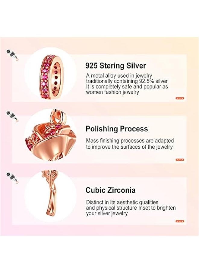 925 Sterling Silver Charms fit Bracelets Necklaces Aniaml Sports Flower Carton Beads with 5A Cubic Zirconia Christmas Valentine Mother's Day Giftfor Women