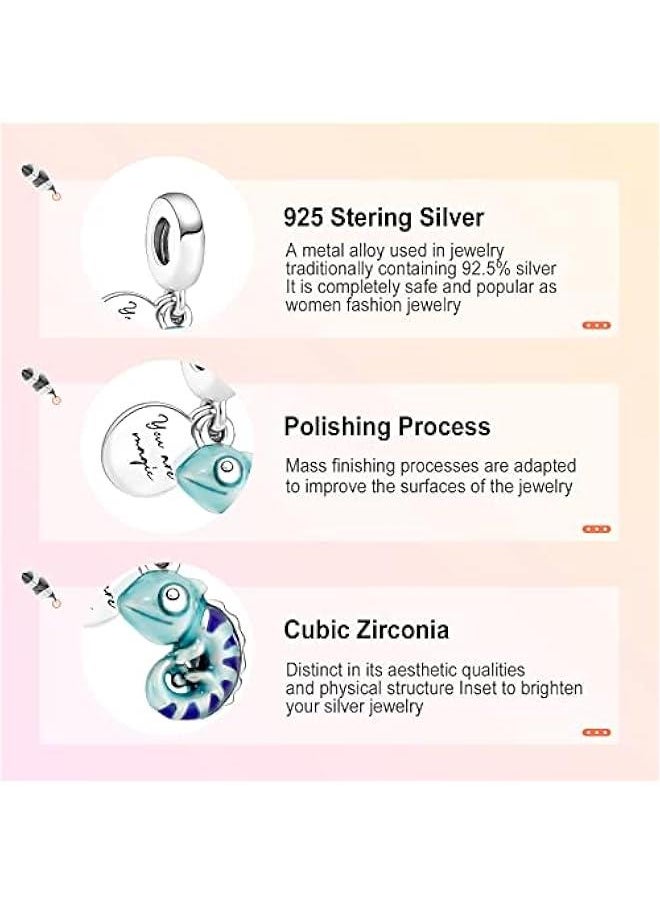 925 Sterling Silver Charms fit Bracelets Necklaces Ocean Animal Beads with 5A Cubic Zirconia Christmas Mother's Day Gift Charms for Women