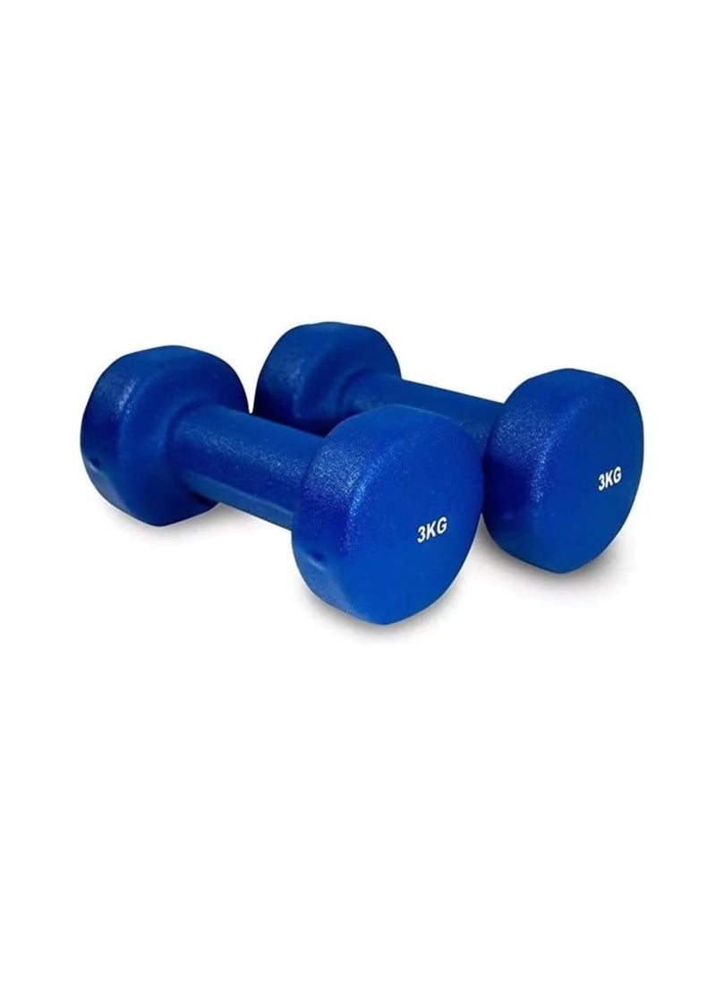 Hex Vinyl Dipping Dumbbell 3Kg