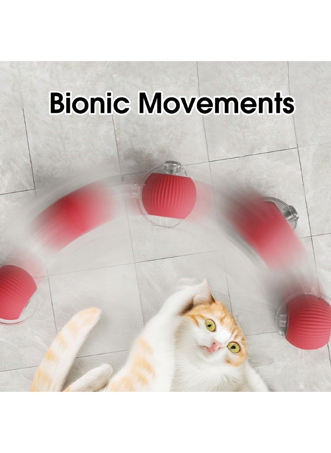 Interactive Rolling Pet Toy Ball, 360° Smart Automatic Self Rolling Cat Dog Ball Toys, Smart Interactive Pet Toy Ball, USB Rechargeable Cat Toys Ball, Automatic Electric Moving Ball Toy for Indoor C