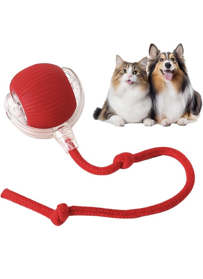 Interactive Rolling Pet Toy Ball, 360° Smart Automatic Self Rolling Cat Dog Ball Toys, Smart Interactive Pet Toy Ball, USB Rechargeable Cat Toys Ball, Automatic Electric Moving Ball Toy for Indoor C