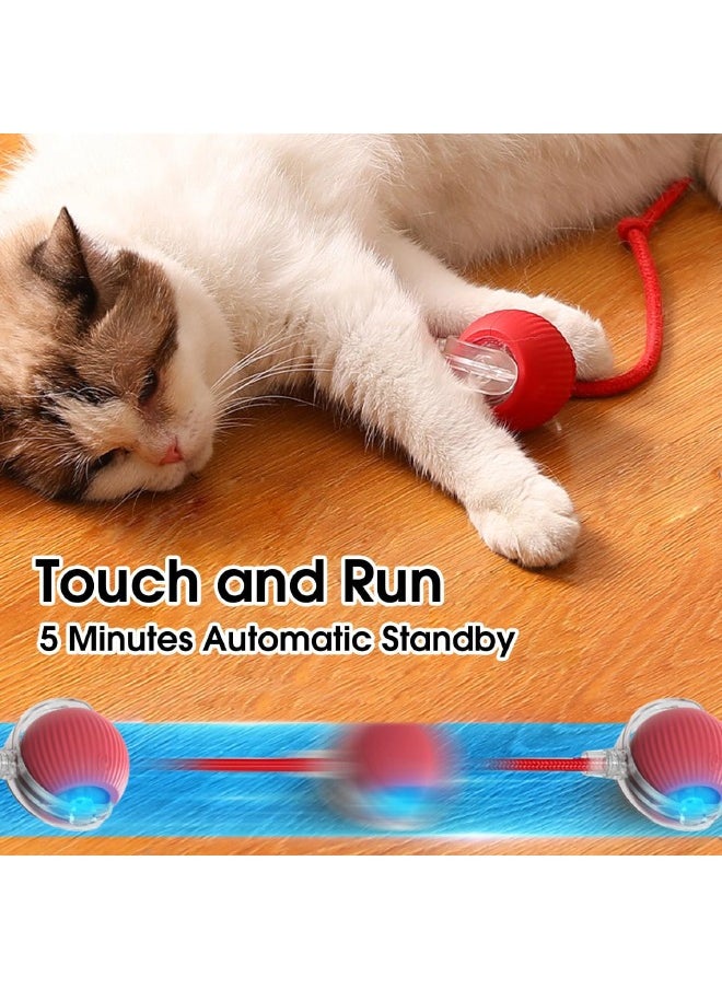 Interactive Rolling Pet Toy Ball, 360° Smart Automatic Self Rolling Cat Dog Ball Toys, Smart Interactive Pet Toy Ball, USB Rechargeable Cat Toys Ball, Automatic Electric Moving Ball Toy for Indoor C