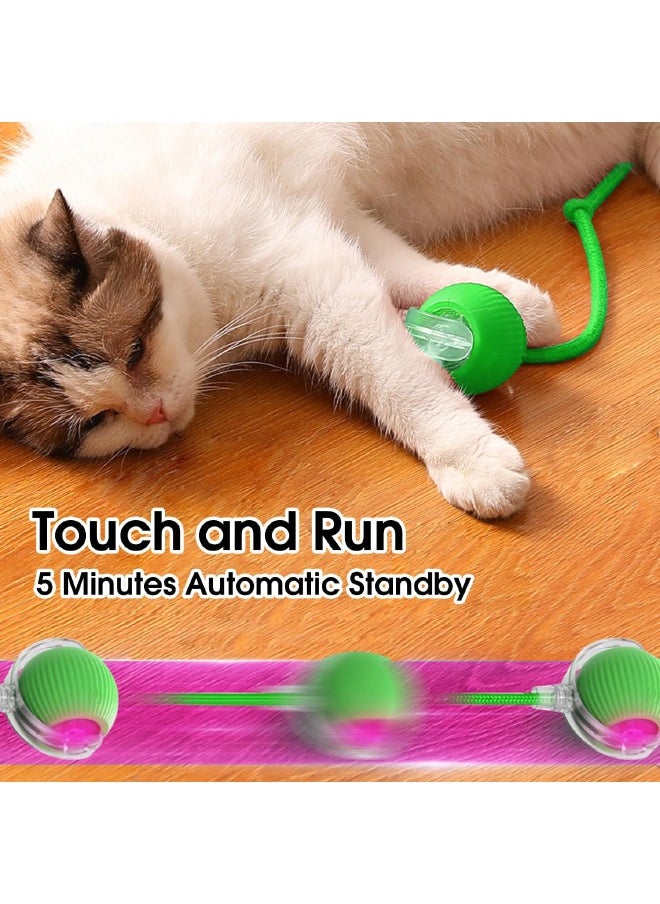 Interactive Rolling Pet Toy Ball, 360° Smart Automatic Self Rolling Cat Dog Ball Toys, Smart Interactive Pet Toy Ball, USB Rechargeable Cat Toys Ball, Automatic Electric Moving Ball Toy for Indoor C