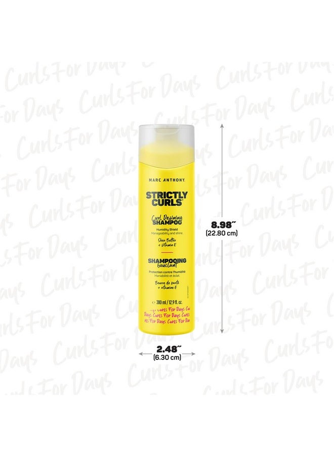 Strictly Curl Curl Defining Shea Butter And Vitamin E Oil Anti Frizz, Paraben Free, Sulfate Free And Curl Enhancing Shampoo For All Types Of Curly Hair