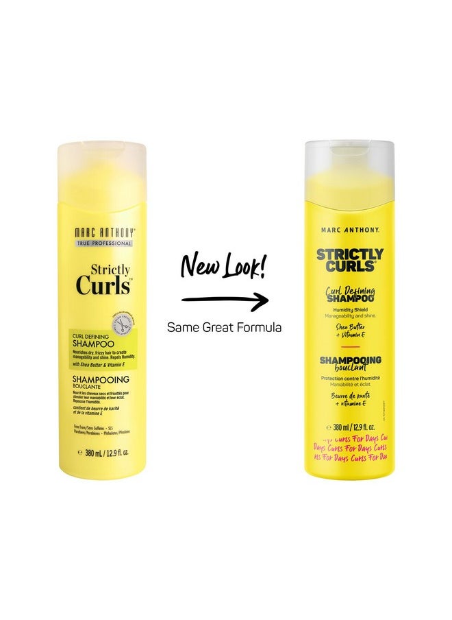 Strictly Curl Curl Defining Shea Butter And Vitamin E Oil Anti Frizz, Paraben Free, Sulfate Free And Curl Enhancing Shampoo For All Types Of Curly Hair
