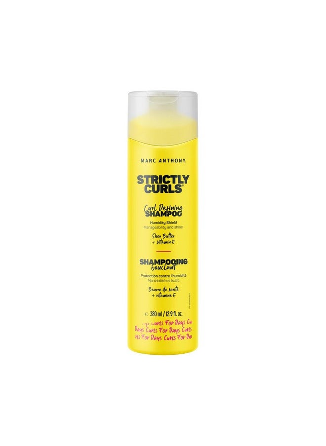 Strictly Curl Curl Defining Shea Butter And Vitamin E Oil Anti Frizz, Paraben Free, Sulfate Free And Curl Enhancing Shampoo For All Types Of Curly Hair