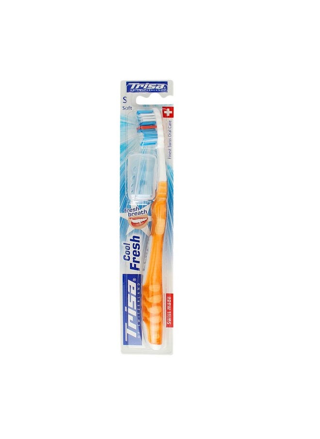 Cool Fresh Soft Toothbrush With Hygiene Box (Assorted Color)