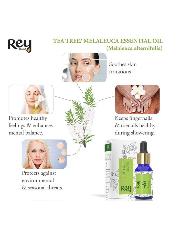 Tea Tree Oil & Rosemary Oil For Hair Growth & Dandruff Control | Pure Essential Oil For Hair, Face & Skin Care | For All Skin & Hair Types - 15Ml*2