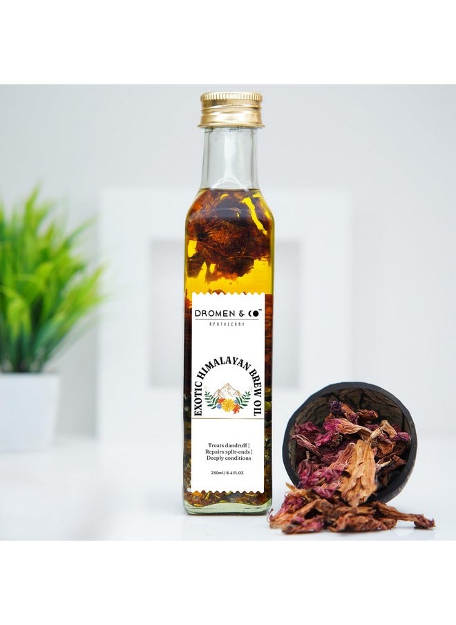 Exotic Himalayan Brew Oil | The Goodness Of Himalayan Flowers | Infused With Arnica Oil | Hair Oil For Men & Women 250 Ml