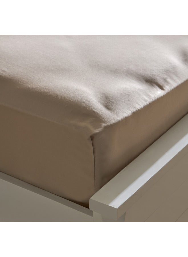 Opulent Luxe Solid Cotton Queen Fitted Sheet 150 x 200 x 40 cm