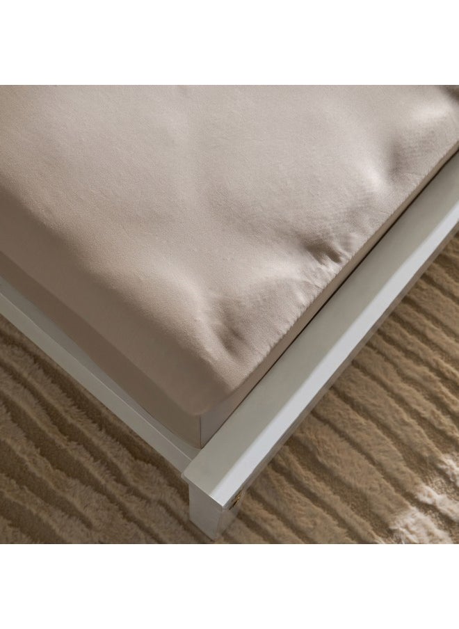 Opulent Luxe Solid Cotton Queen Fitted Sheet 150 x 200 x 40 cm