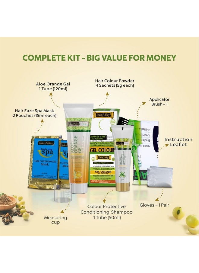 Damage Free Natural Gel Hair Colour For Women | Ammonia & Ppd Free Organic Hair Colour With 100% Grey Coverage, Long Lasting Conditioning Hair Color | Black 1.00-220 Ml