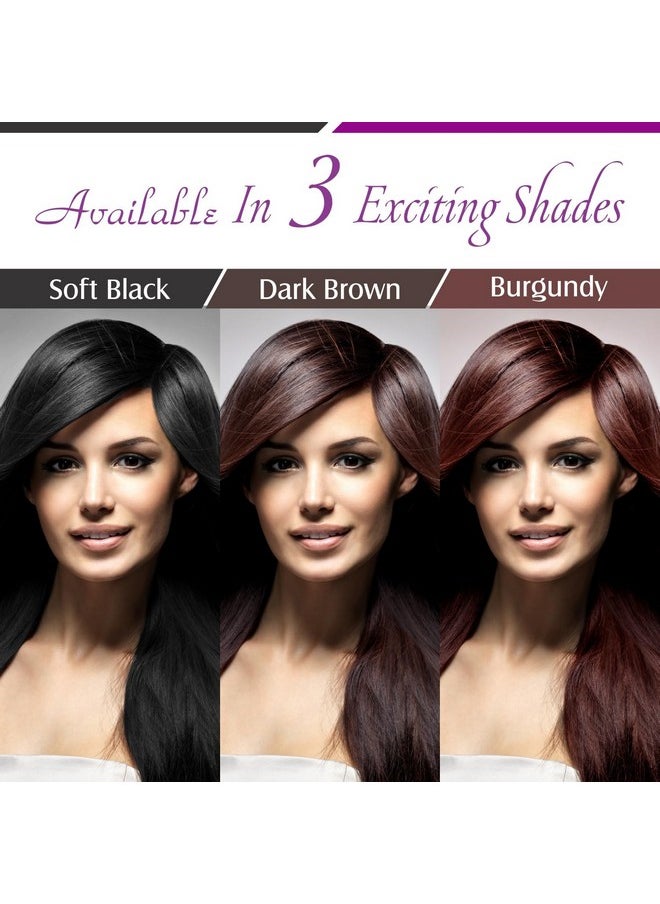 Bio Hair Colour - Soft Black | 50G | Achieve Natural, Ammonia-Free Hair Color | Ppd-Free, 100% Herbal Certified Organic For Men And Women | Uv Protection And Luster Maintenance | Complete Kit