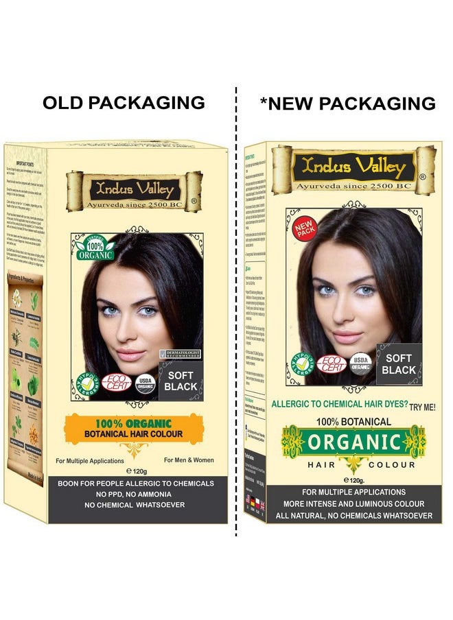 100% Botanical Hair Color For Men & Women, Boon For People Allergic To Chemical, No Ppd, No Ammonia, No Chemical (Soft Black)120G