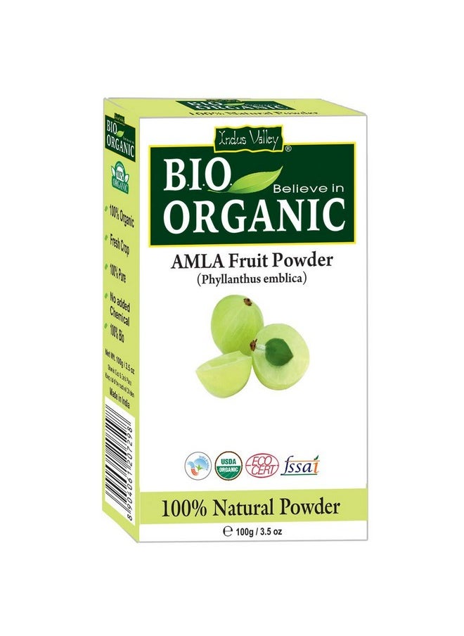 Bio Organic Natural Amla Powder With Herbal Henna Powder Set Of 2 For Hair Care - (100G *3=300G)