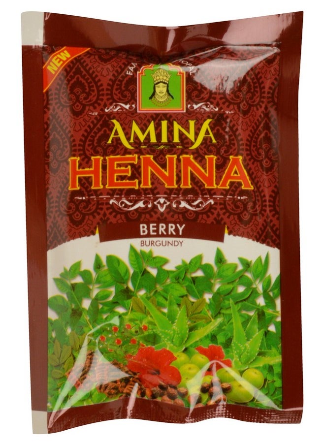 Henna, Burgundy, 300 G (Pack Of 10)