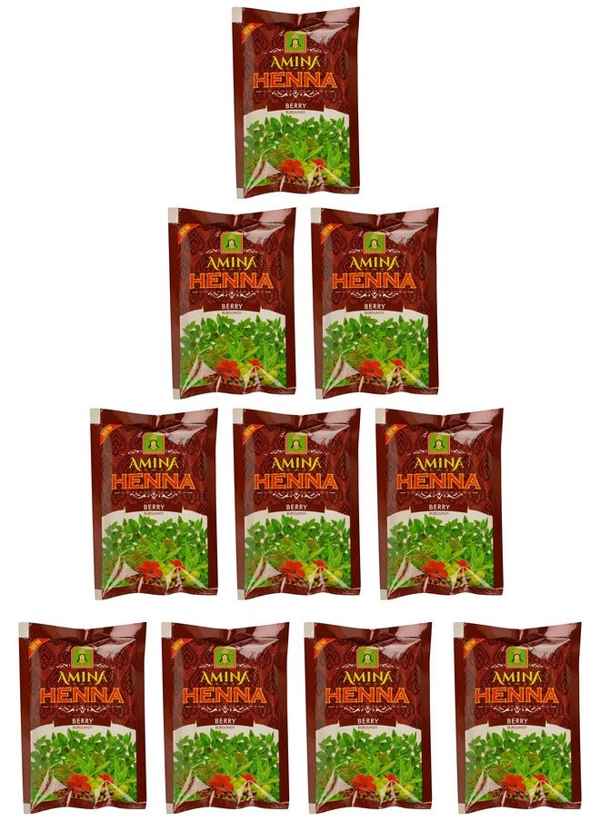 Henna, Burgundy, 300 G (Pack Of 10)