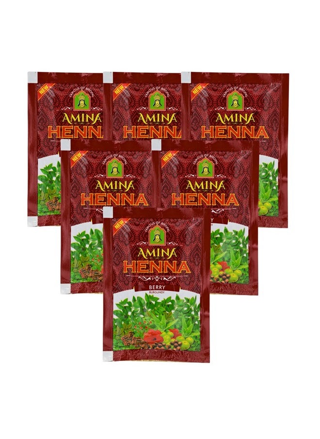 Henna Unisex Natural Hair Color Mehndi (Pack Of 6, Natural Berry Burgundy)