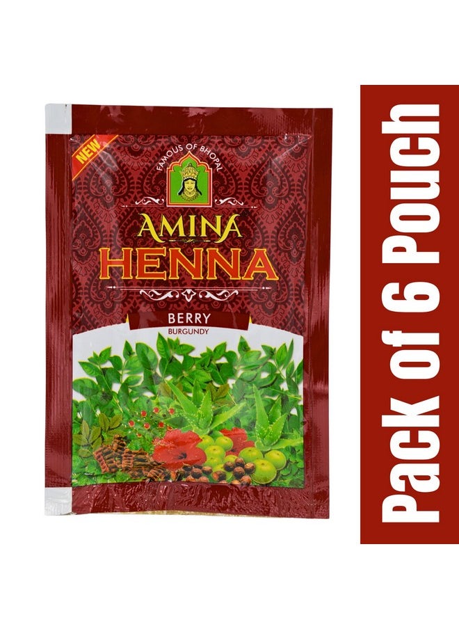 Henna Unisex Natural Hair Color Mehndi (Pack Of 6, Natural Berry Burgundy)