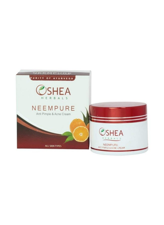 Neempure Anti Pimple & Acne Face Cream For All Skin Types | Controls Oil, Softens & Smoothens Skin, Maintains Ph Balance - 50 G