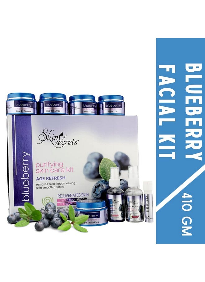 Blueberry Facial Kit With Blueberry Extract For A Younger Looking Skin, 410Gm (Pack Of 8)