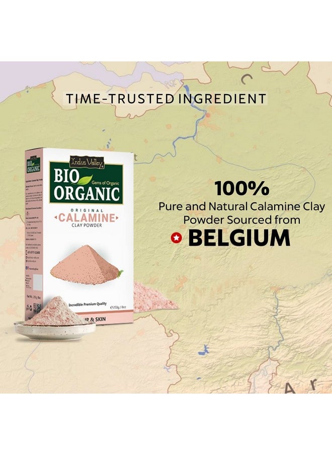 Bio Organic 100% Natural Calamine Clay Powder | Healing Clay For Face & Skin Care (250 Gm)