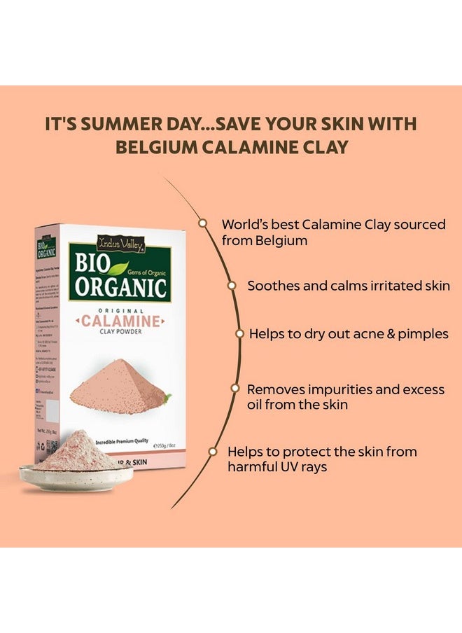 Bio Organic 100% Natural Calamine Clay Powder | Healing Clay For Face & Skin Care (250 Gm)