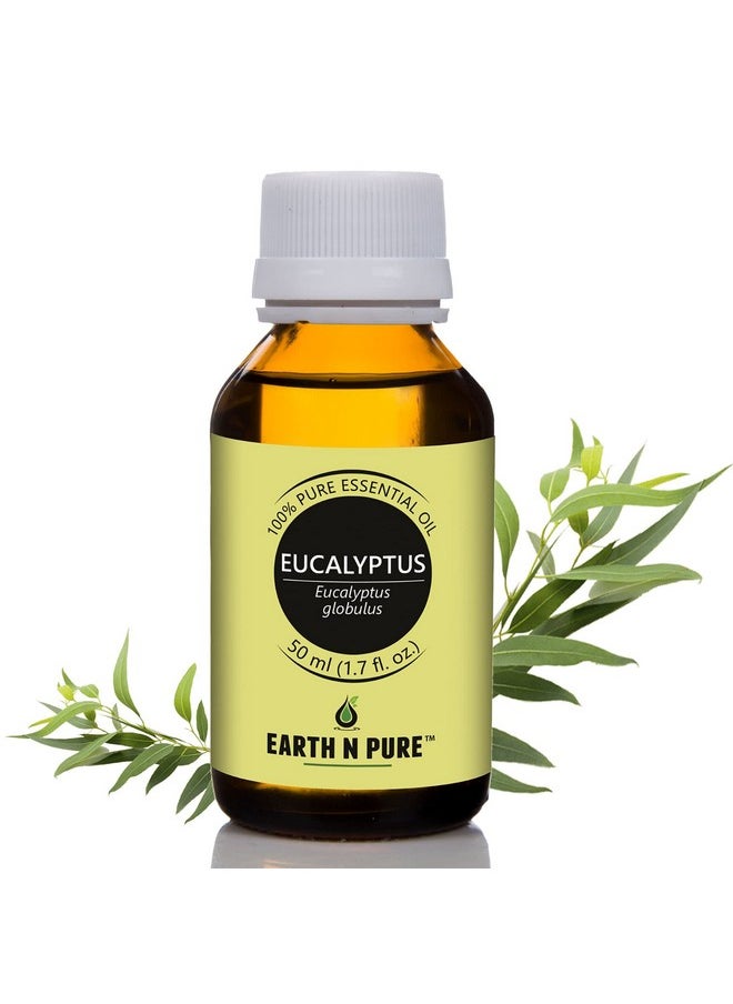 Eucalyptus Essential Oil (Nilgiri Oil) Undiluted, Natural, Therapeutic Grade 50 Ml