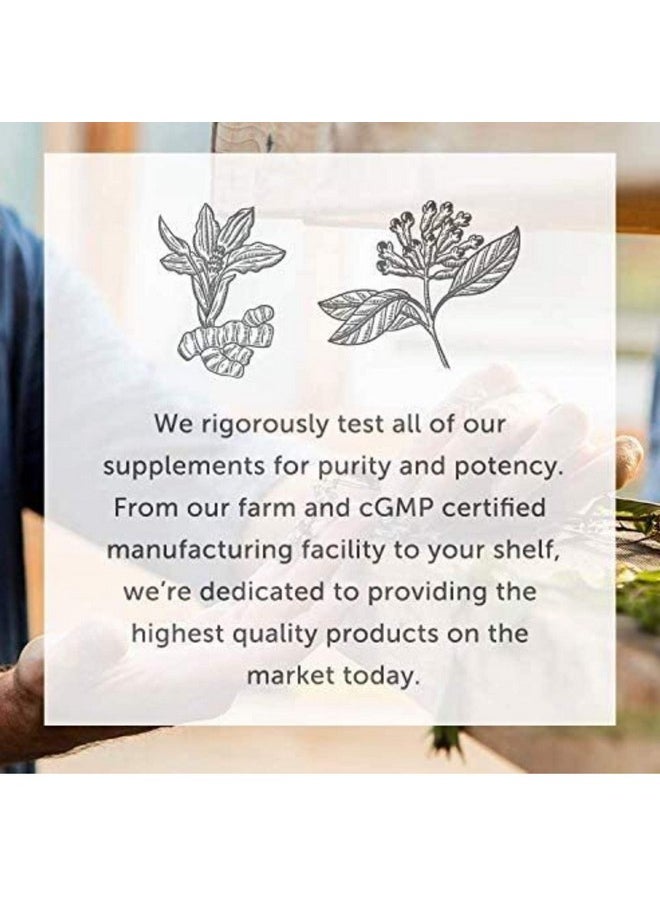 Global Healing Foreign Protein Cleanse (Spike Protein Detox) - Spike Support Formula with Nattokinase Supplement Alternatives (Wormwood) - Helps Detox Spike Proteins for Immune Support - 2 Fl Oz