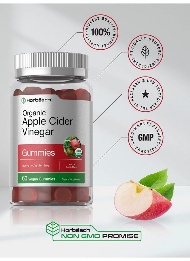 Horbäach Organic Apple Cider Vinegar Gummies | 60 Gummies | Vegan, Non-GMO & Gluten-Free Supplement | USDA Organic ACV | Apple Flavor