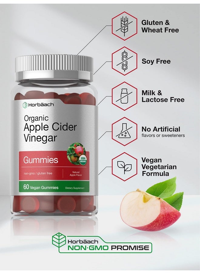 Horbäach Organic Apple Cider Vinegar Gummies | 60 Gummies | Vegan, Non-GMO & Gluten-Free Supplement | USDA Organic ACV | Apple Flavor