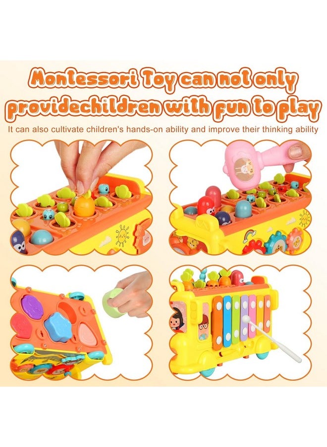 ® Intelectual Montessori Musical Carrot Harvest,Fishing Shape Sorter Educational School Bus【With 9 Functions】 For Toddlers【Pack Of 1 Bus】【Multi-Colored】