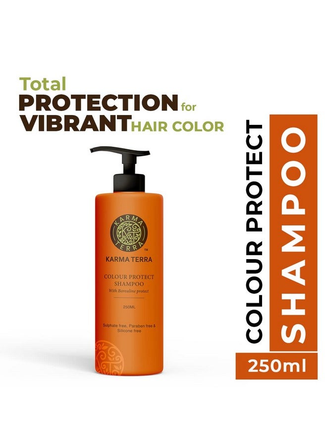 Professional Color Protect Shampoo With Borealine Protect, Repair Hair Damage, Protect Hair Color - 250Ml